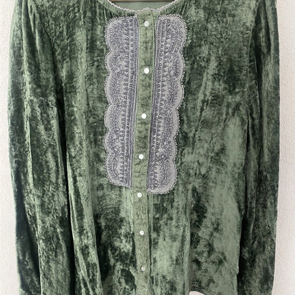 Soft Surroundings Green Velvet Blouse